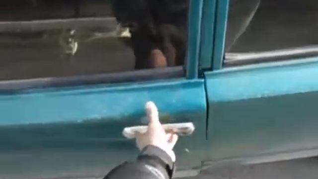 Жигули тынч жана женил жабылып ачылган эшик. Тетик Дэу Ланостуку