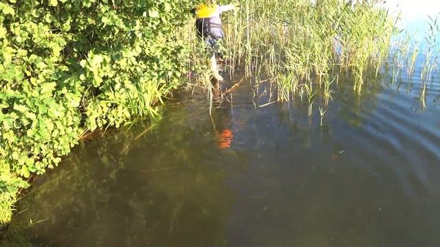 Шаг винта, подбор гребного винта от 9-го до 12 шага