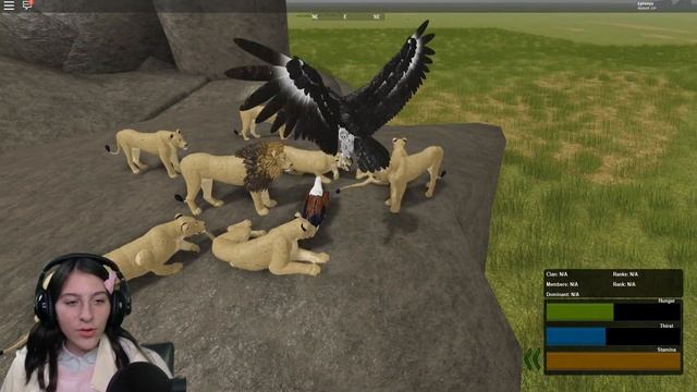 ROBLOX WILD SAVANNAH (Testing A) ALPHA EAGLE! LION'S PRIDE VS Random Birds - FUNNY Roleplay Moments смотреть онлайн