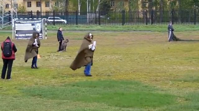 Русский ринг 24.05 соревнования