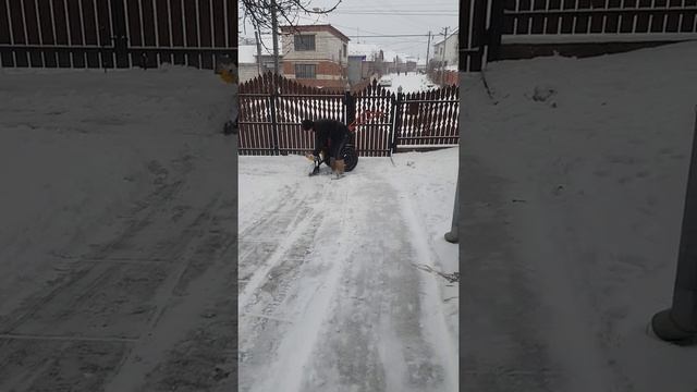 Лопата отвал для мотоблока / Уборка снега смотреть онлайн