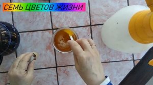 Обработка сада весной  Как применять железный купорос.  чем обработать смородину весной от всего