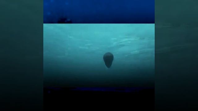 Book Trailer do livro USS Bacalao de JT McDaniel Trad. Franco Rovedo смотреть онлайн