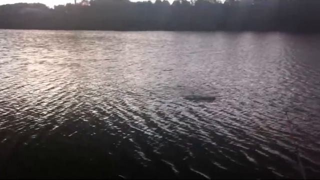 Рыбалка. Брянск смотреть онлайн