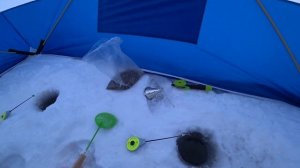 Новая палатка Следопыт! Первые впечатления!