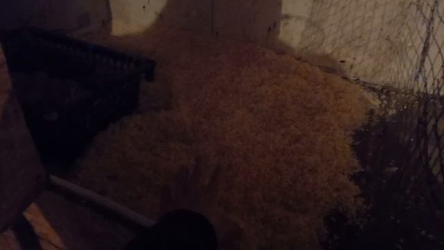 Ремонтный Шик