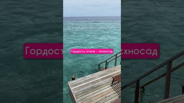 ОТЕЛЬ НА МАЛЬДИВАХ С ЭКО-КОНЦЕПЦИЕЙ ??? смотреть онлайн