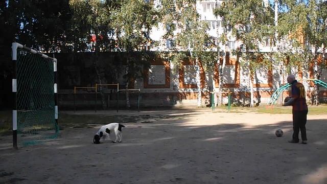 Игра"Тысяча"-Крестовина-1000 очков! смотреть онлайн