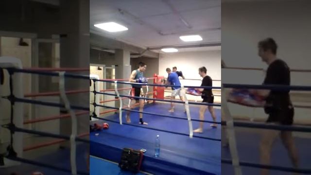 Тренировки в клубе "Питбуль" Новосибирск смотреть онлайн