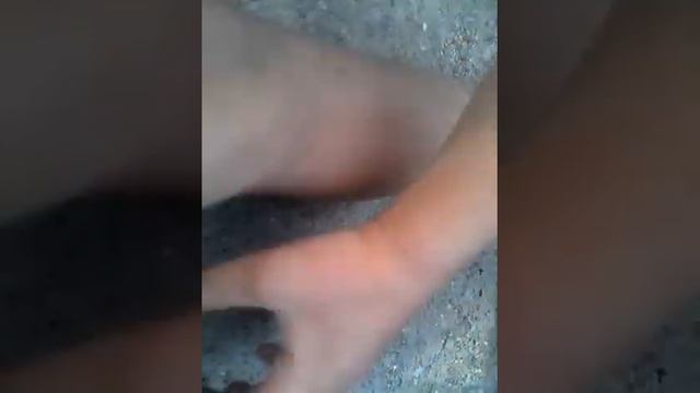 Видео о том как я нашел жука он такой большой и еще с рогом смотреть онлайн