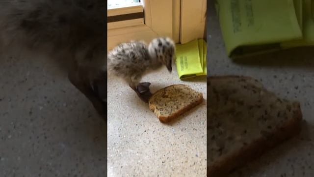 Природа Сверкает