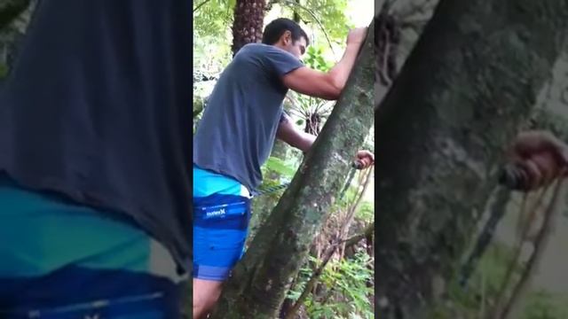 Big swing 1 смотреть онлайн