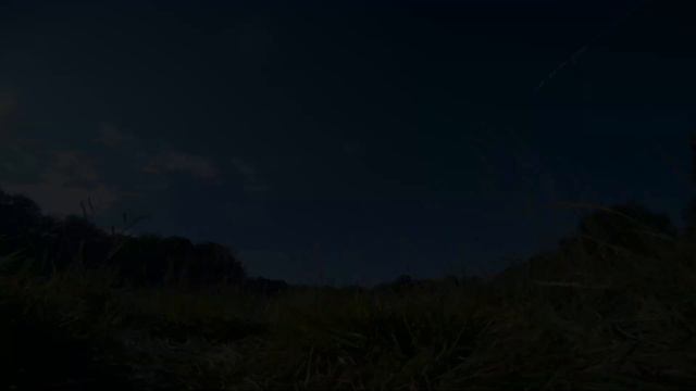 FPV: Training day. open field n' gaps смотреть онлайн