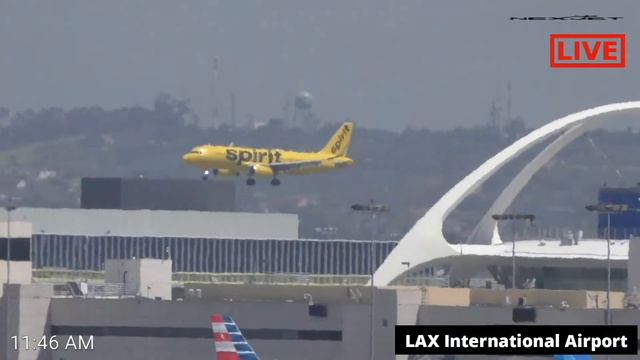LIVE ? LAX International Airport смотреть онлайн