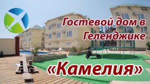Гостевой дом «Камелия», г.Геленджик, район Тонкий мыс. | Съемка с квадрокоптера | Helper Travel