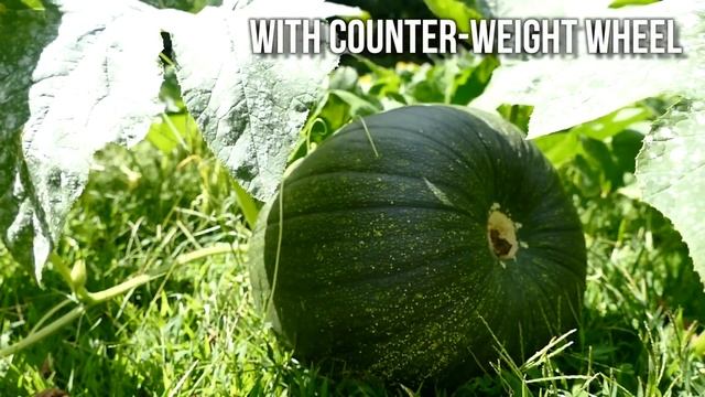 iFootage Shark Slider S1 Review - A YouTuber's Dream смотреть онлайн