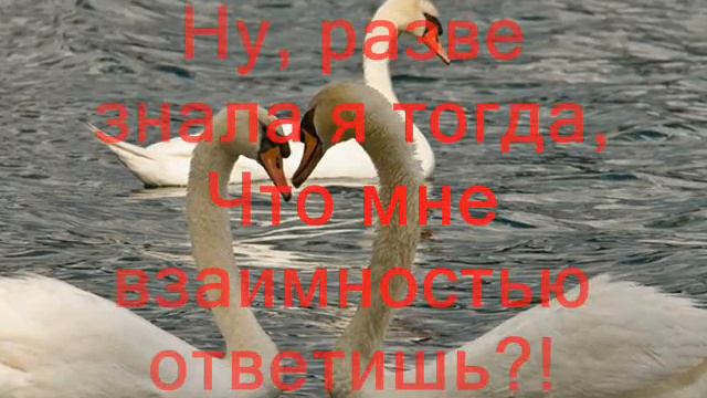 Я тебя любила,а ты...... смотреть онлайн