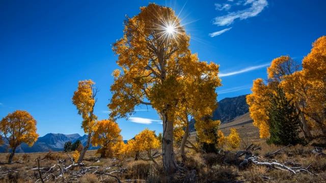 Картинка осень. Осень, деревья, природа. смотреть онлайн