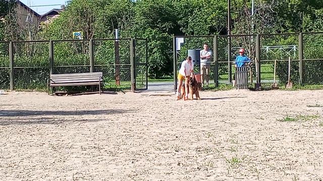 2.  выражено/перв МАРВИЛ ЮНИОН ТАЙФУН (Аллемо Хаус Дон Диего – Цефания Ф. Хаус Витаола)