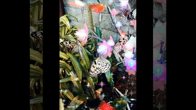 Сад живых бабочек смотреть онлайн