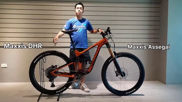 Giant Reign Advanced Pro 1 29 (2022) Bike Check смотреть онлайн
