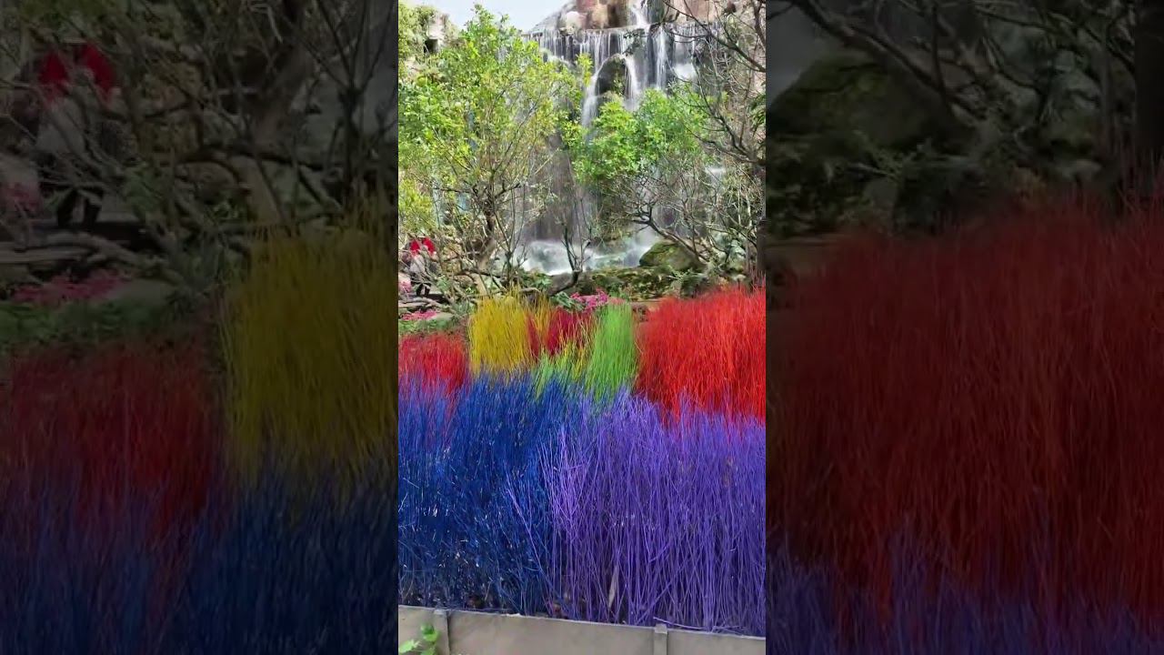 Amazing Thailand смотреть онлайн