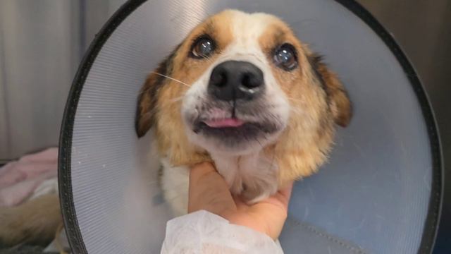 😭 1 часть.
Тут и Нукер и Боня.
Нукер плачет. А  Боня радуется нам.