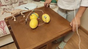 Как получить электричество из лимона. Эксперимент
