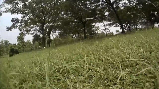 RD230 Bootstrap - Into The Trees смотреть онлайн