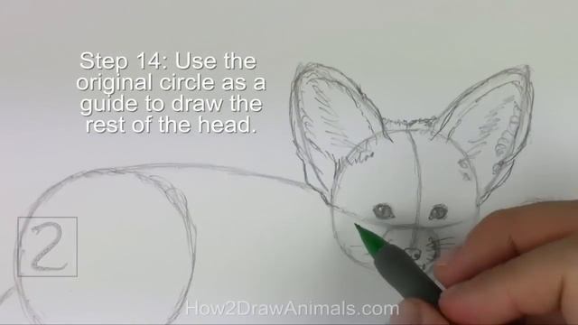 How To Draw A Fennec Fox