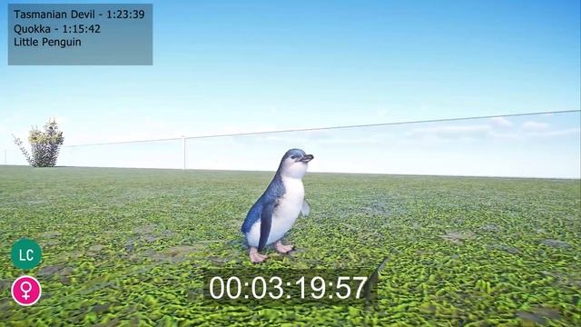 Oceania DLC Speed Rematch in Planet Zoo included Kiwi, Quokka, Tasmanian Devil, Little Penguin смотреть онлайн
