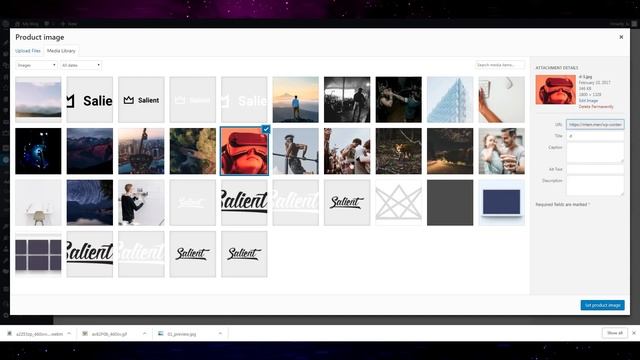 Salient - Responsive Multi-Purpose Theme Review Part 2 смотреть онлайн