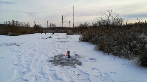 ЗИМНЯЯ РЫБАЛКА?-РОТАН?  НА ЖЕРЛИЦЫ. ЛОВЛЯ РОТАНА НА ЖЕРЛИЦЫ И БАЛАНСИР.