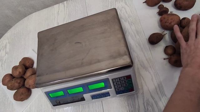 Сравнил размеры картофеля, выращенного способом "ПОД ЛОПАТУ" и "В МЕШКЕ" смотреть онлайн