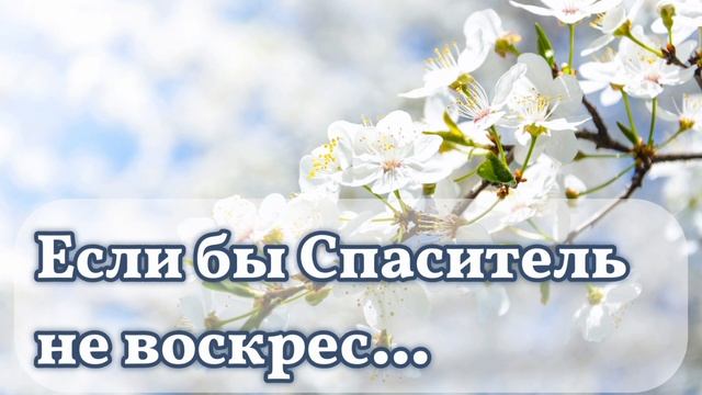 Красивая песня на Пасху "Если бы Спаситель не воскрес" Христианские песни МСЦ ЕХБ смотреть онлайн