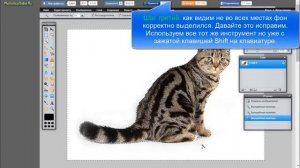 Как сделать фон картинки прозрачным