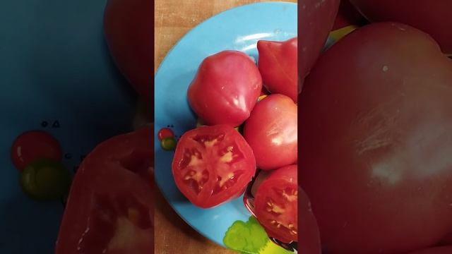 Томат Минусинские бычки. Семена имеются в наличии. смотреть онлайн