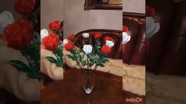 белые и красные розы смотреть онлайн