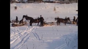 Конные соревнования 2006