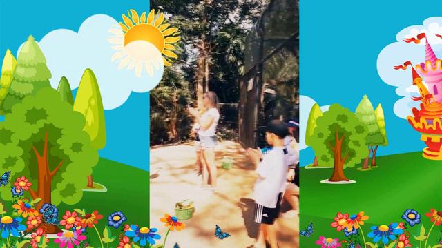 Зоопарк Bird Aviary в Тайланде. смотреть онлайн