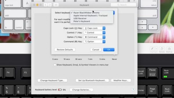 Windows Keyboard on a Mac