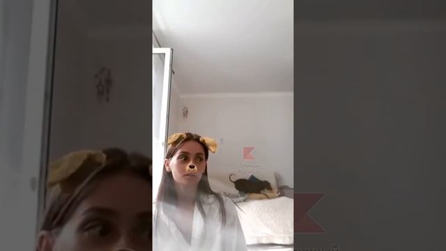 Живодер прострелил собаке пасть из арбалета или лука в Краснодаре смотреть онлайн