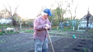 Посадка СЕМЕЧЕК  АРБУЗОВ в открытый грунт