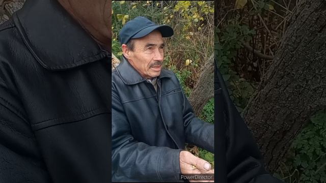 что значит быть мужиком? смотреть онлайн