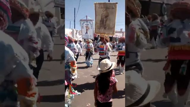 Sonajeros Zapotlán el grande 2017 смотреть онлайн