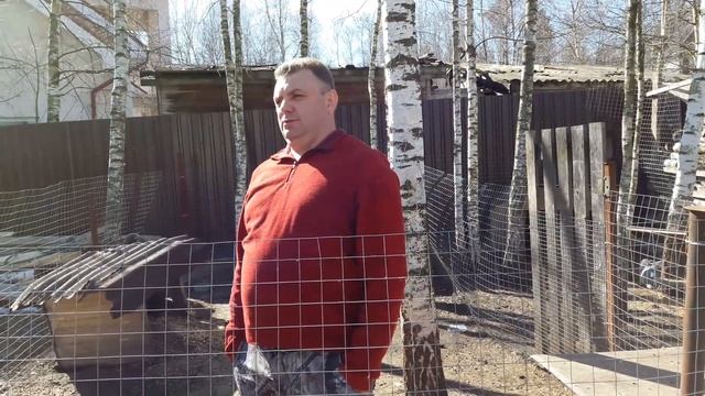 Ямное содержание кроликов смотреть онлайн