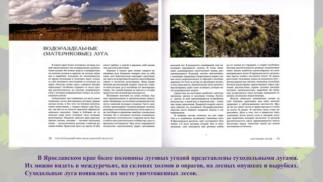 Растительный мир смотреть онлайн