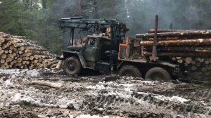 Весна И Лес