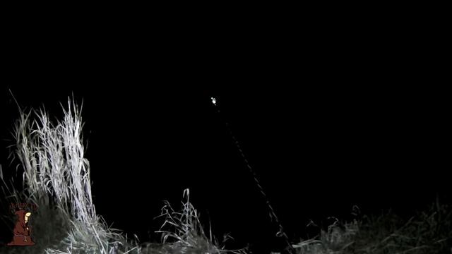 Я его дождался!!! Трофейный Налим с берега на донки Отличная рыбалка на налима смотреть онлайн