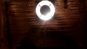 самодельный инкубатор поставила гусиное яйцо